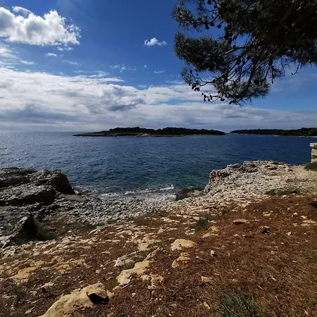 Black Pearl - Luxury Seaside App With Pool & Bbq, Istra Appartamento Banjole