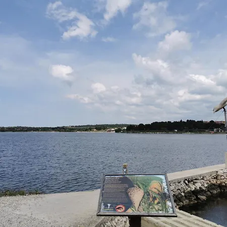 Black Pearl - Luxury Seaside App With Pool & Bbq, Istra * Banjole