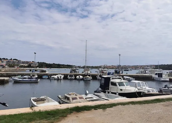 Black Pearl - Luxury Seaside App With Pool & Bbq, Istra *