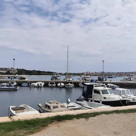 Black Pearl - Luxury Seaside App With Pool & Bbq, Istra *