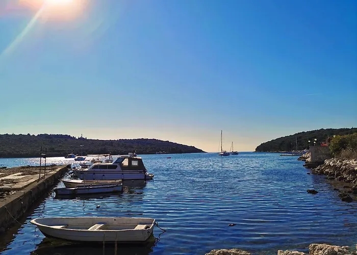 Daire Black Pearl - Luxury Seaside App With Pool & Bbq, Istra