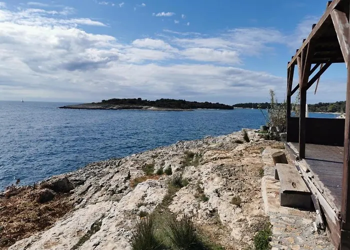 Black Pearl - Luxury Seaside App With Pool & Bbq, Istra *