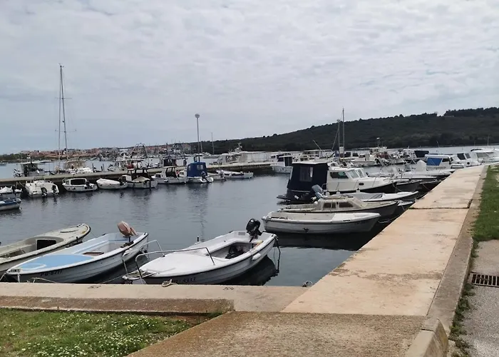 Daire Black Pearl - Luxury Seaside App With Pool & Bbq, Istra