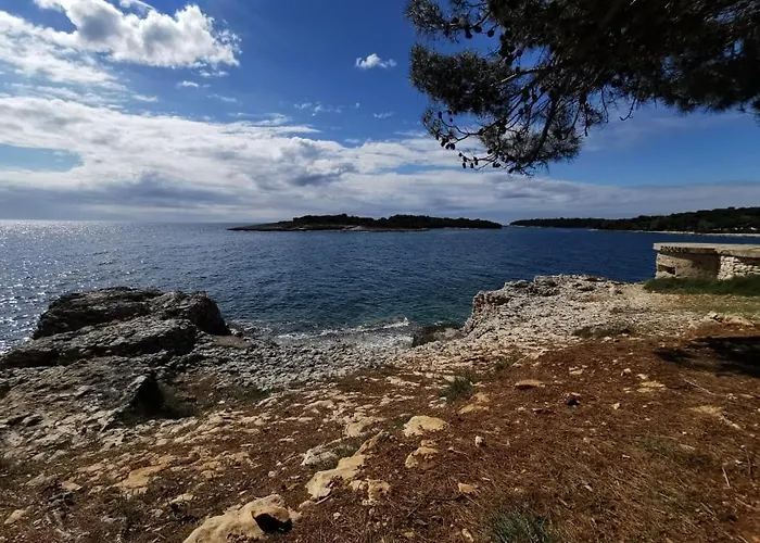 Black Pearl - Luxury Seaside App With Pool & Bbq, Istra Daire Banjole
