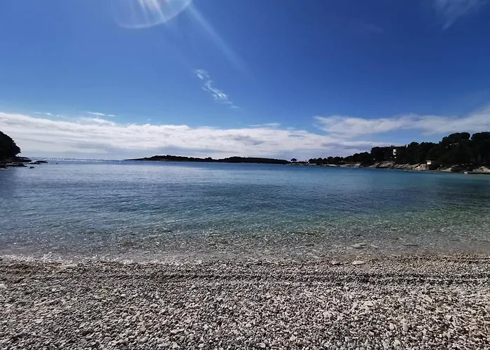 Black Pearl - Luxury Seaside App With Pool & Bbq, Istra Daire *