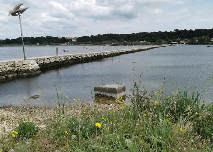 Daire Black Pearl - Luxury Seaside App With Pool & Bbq, Istra