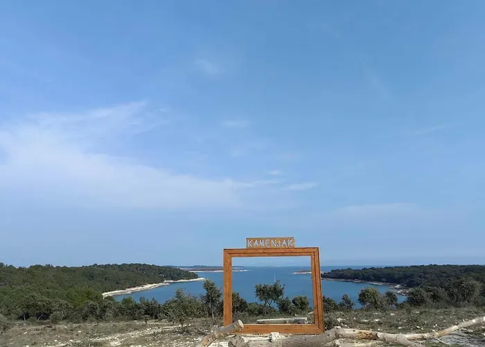 Daire Black Pearl - Luxury Seaside App With Pool & Bbq, Istra *